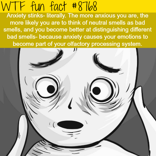 25 Weird Facts to Make You Feel Smarter