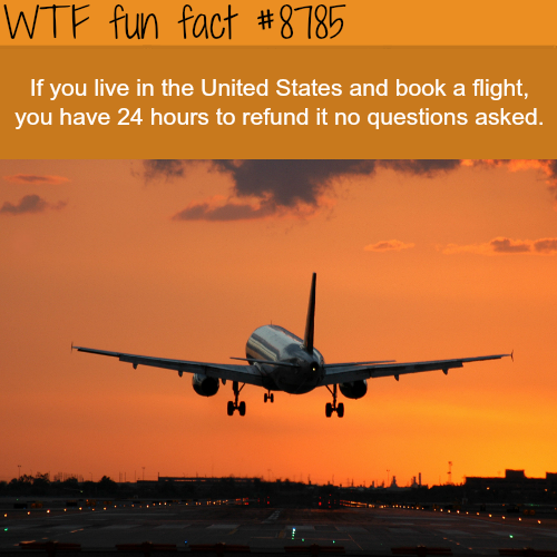 12 Weird and Random Facts for your Thursday