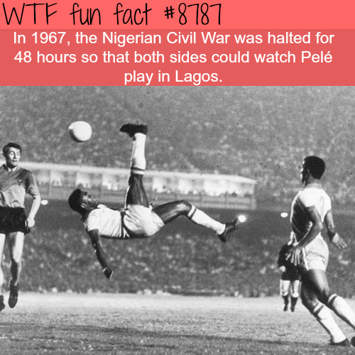 wtf facts - pele bicycle kick - Wtf fun fact In 1967, the Nigerian Civil War was halted for 48 hours so that both sides could watch Pel play in Lagos.