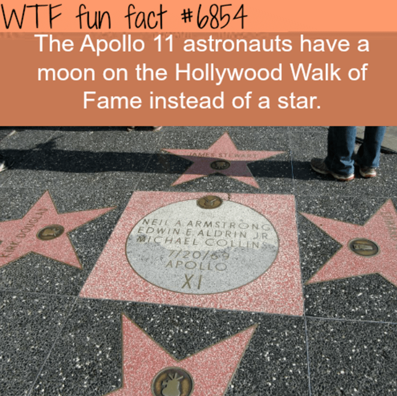 wtf facts - hollywood - Wtf fun fact The Apollo 11 astronauts have a moon on the Hollywood Walk of Fame instead of a star. Amesst Neil Aarmstrong Edwine Aldrin Jr Michael Collins 12089 Apollo
