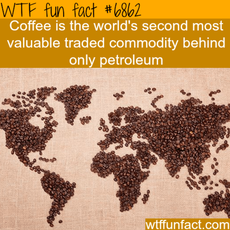 wtf facts - Wtf fun fact | Coffee is the world's second most valuable traded commodity behind only petroleum wtffunfact.com