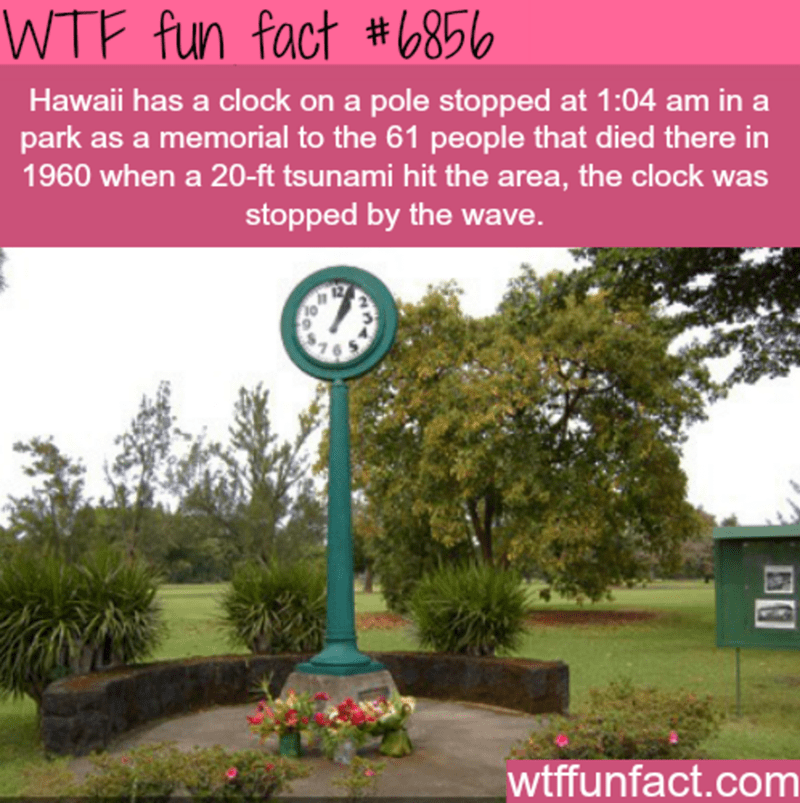 wtf facts - tsunami clock of doom - Wtf fun fact Hawaii has a clock on a pole stopped at in a park as a memorial to the 61 people that died there in 1960 when a 20ft tsunami hit the area, the clock was stopped by the wave. wtffunfact.com
