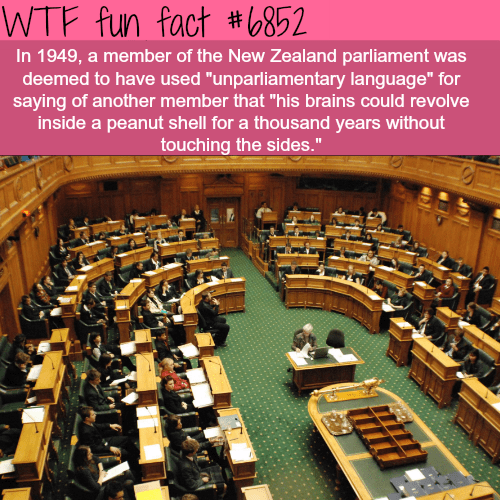 wtf facts - wtf fun facts insult - Wtf fun fact In 1949, a member of the New Zealand parliament was deemed to have used "unparliamentary language" for saying of another member that "his brains could revolve inside a peanut shell for a thousand years witho