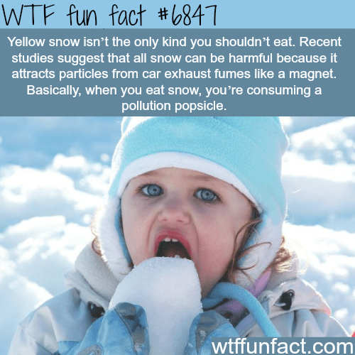 wtf facts - fun facts about snow - Wtf fun fact Yellow snow isn't the only kind you shouldn't eat. Recent studies suggest that all snow can be harmful because it attracts particles from car exhaust fumes a magnet. Basically, when you eat snow, you're cons