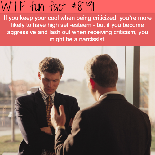 wtf facts - personality fun facts - Wtf fun fact If you keep your cool when being criticized, you're more ly to have high selfesteem but if you become aggressive and lash out when receiving criticism, you might be a narcissist.