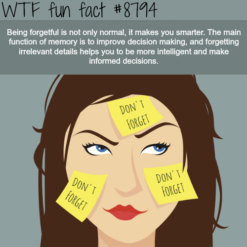 wtf facts - wtf girl facts - Wtf fun fact Being forgetful is not only normal, it makes you smarter. The main function of memory is to improve decision making, and forgetting irrelevant details helps you to be more intelligent and make informed decisions. 