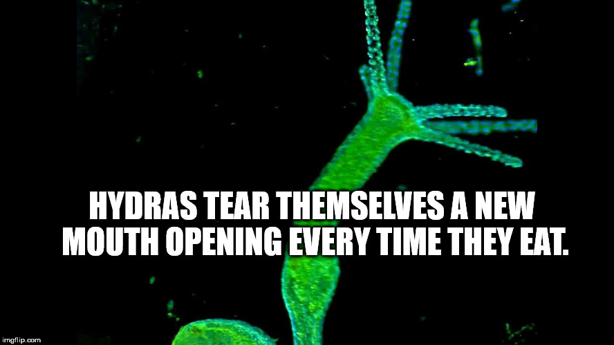 23 Weird/Random Facts to Buff Your Brain