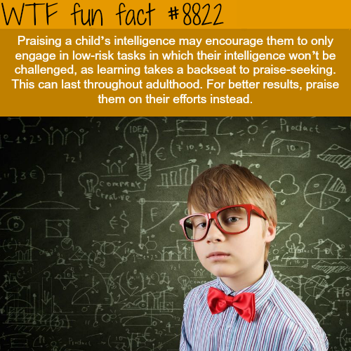 23 Weird/Random Facts to Buff Your Brain