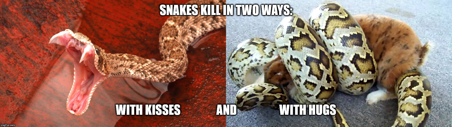 38 Shower Thoughts to Clean Up Your Act