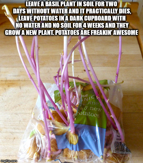 38 Shower Thoughts to Clean Up Your Act