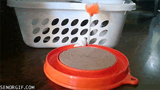 Caturday gif of a cat playing with a ball from inside a basket