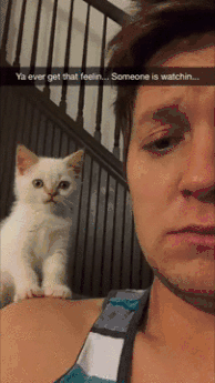Caturday gif of a cat sitting on a man's shoulder watching him