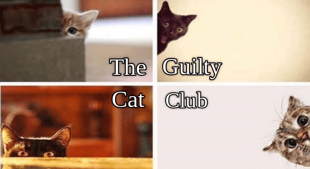 Caturday meme about guilty cat faces