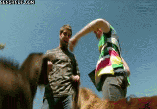 Moving Image Mayhem: Animal Edition