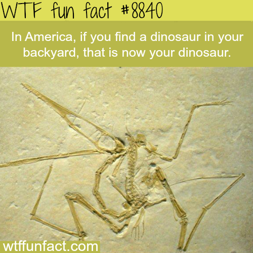 17 Random Facts to Make you Feel Smarter