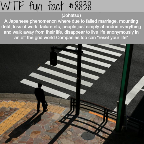 17 Random Facts to Make you Feel Smarter