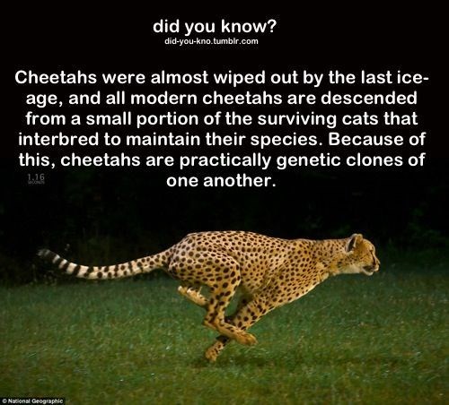 17 Random Facts to Make you Feel Smarter