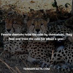 17 Random Facts to Make you Feel Smarter