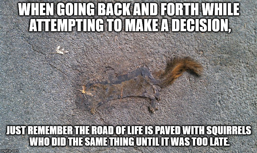 meme - When Going Back And Forth While Attempting To Make A Decision, Just Remember The Road Of Life Is Paved With Squirrels Who Did The Same Thing Until It Was Too Late imgflip.com