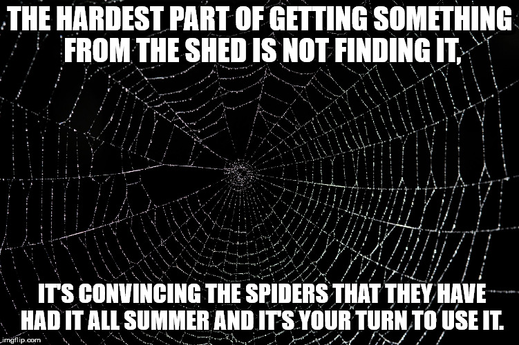 spider web - The Hardest Part Of Getting Something From The Shed Is Not Finding It Its Convincing The Spiders That They Have Had It All Summer And It'S Your Turn To Use It. Limgflip.com