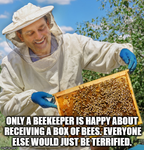 ash pedreiro - Only A Beekeeper Is Happy About Receiving A Box Of Bees. Everyone Else Would Just Be Terrified. imgflip.com