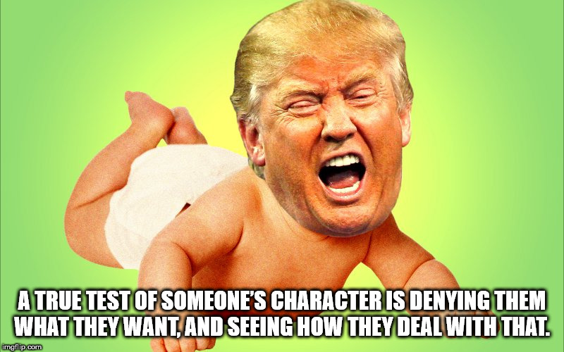 donald trump is a baby - A True Test Of Someone'S Character Is Denying Them What They Want, And Seeing How They Deal With That. imgflip.com