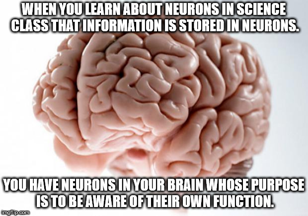 drank too much meme - When You Learn About Neurons In Science Class That Information Is Stored In Neurons. You Have Neurons In Your Brain Whose Purpose Is To Be Aware Of Their Own Function. imgflip.com