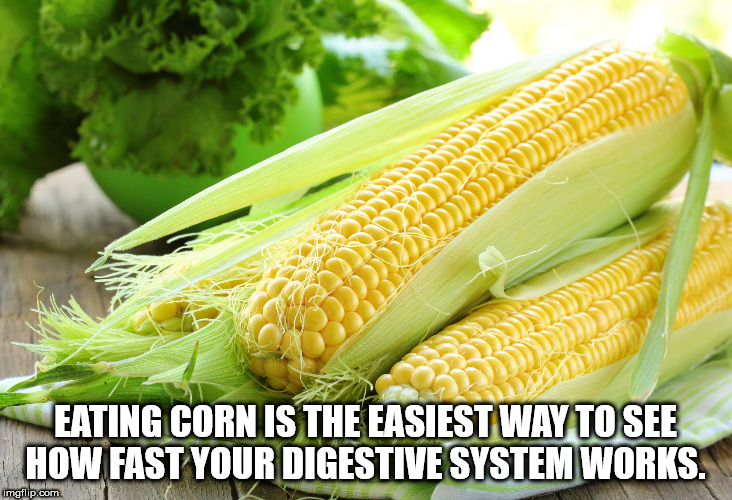 Some Shower Thoughts For Your Moist Place