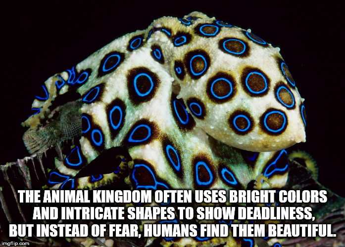 Some Shower Thoughts For Your Moist Place