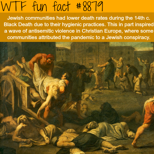 15 Random Facts