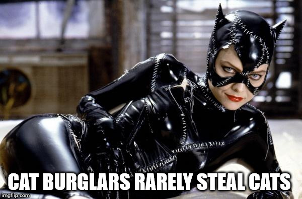 catwoman whip meme - Ivix Cat Burglars Rarely Stealcats imgflip.com