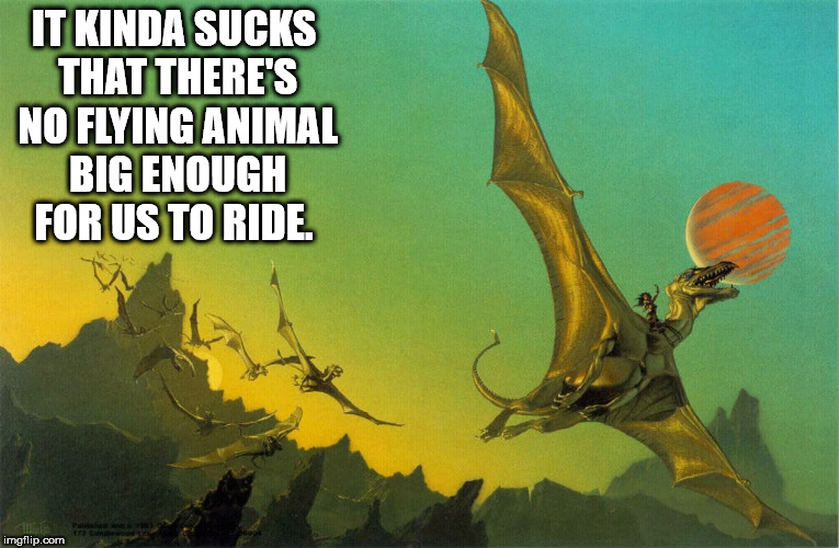 dragonriders of pern - It Kinda Sucks That There'S No Flying Animal Big Enough For Us To Ride. imgflip.com