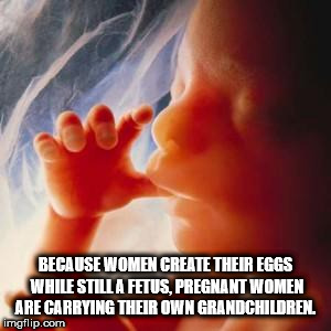mouth - Because Women Create Their Eggs While Still A Fetus, Pregnant Women Are Carrying Their Own Grandchildren imgflip.com