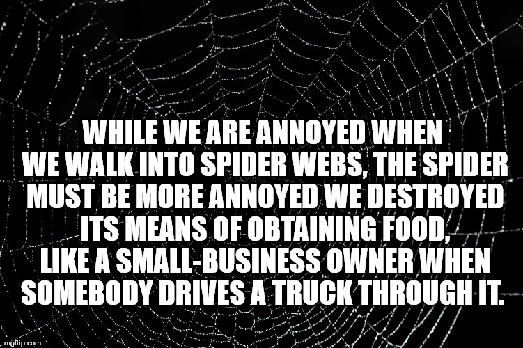st. louis blues - K While We Are Annoyed When We Walk Into Spider Webs, The Spider Must Be More Annoyed We Destroyed Uits Means Of Obtaining Food A SmallBusiness Owner When Somebody Drives A Truck Through It. Limgflip.com