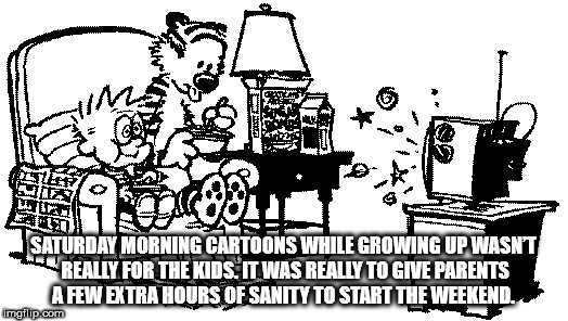 cartoon - Yoy Jsaturday Morning Cartoons While Growing Up Wasnt W Really For The Kids. It Was Really To Give Parents A Few Extra Hours Of Sanity To Start The Weekend. imgflip.com