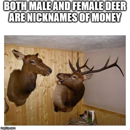told you it was fucking hunting season - Both Male And Female Deer Are Nicknames Of Money moitp.com