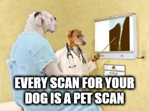 kristen bell sloth - Every Scan For Your Dog Is A Pet Scan