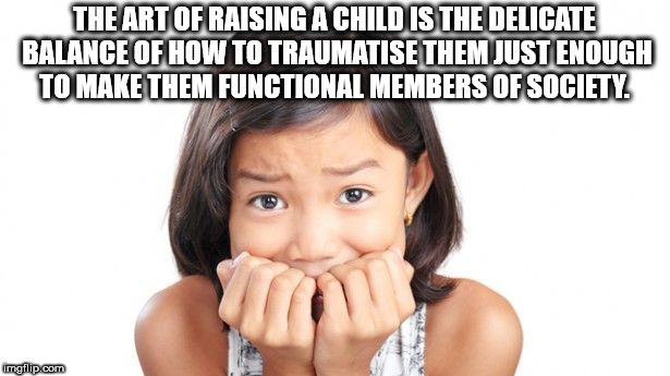 photo caption - The Art Of Raising A Child Is The Delicate Balance Of How To Traumatise Them Justenough To Make Them Functional Members Of Society imgflip.com