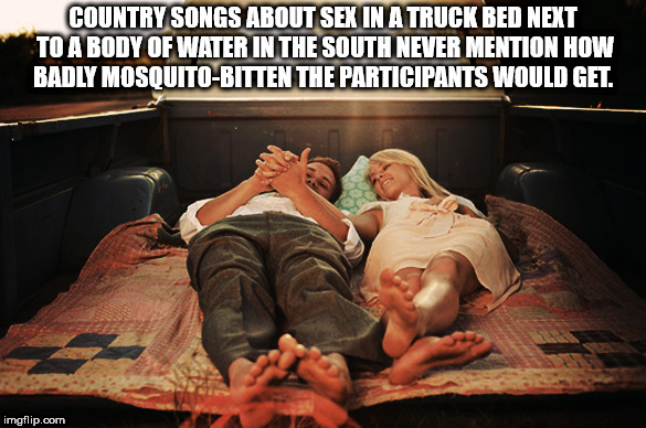 photo caption - Country Songs About Sex In A Truck Bed Next To A Body Of Water In The South Never Mention How Badly MosquitoBitten The Participants Would Get. imgflip.com