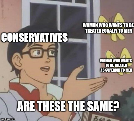you see it you ll - Woman Who Wants To Be Treated Equally To Men Conservatives Woman Who Wants To Be Treated As Superior To Men Are These The Same? imgflip.com I