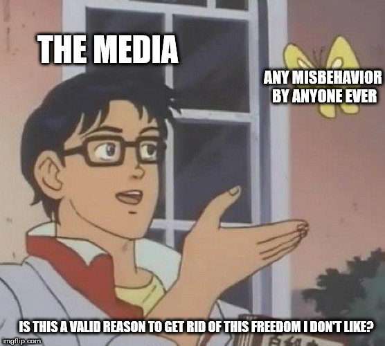 manic meme - The Media Any Misbehavior By Anyone Ever Is This A Valid Reason To Get Rid Of This Freedom I Dont ? imgflip.com Hon