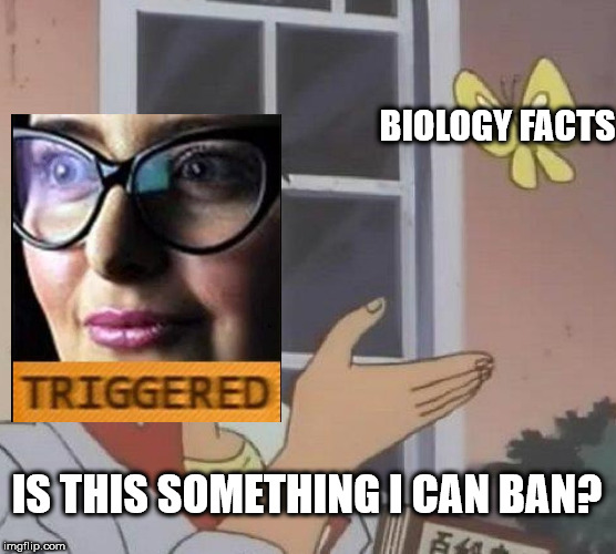 videogamedunkey memes - Biology Facts Triggered Is This Something I Can Ban? imgflip.com