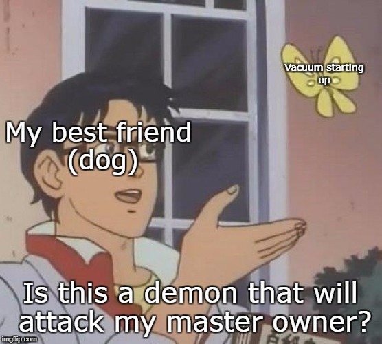 non binary memes - Vacuum starting up My best friend Adog Is this a demon that will attack my master owner? imgflip.com