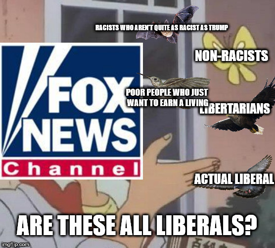 cartoon - Ragists Who Aren'T Quite As Racist As Trump NonRacists Poor People Who Just Want To Earn A Living Libertarians Vnews Channel Actual Liberal Are These All Liberals? imgflip.com