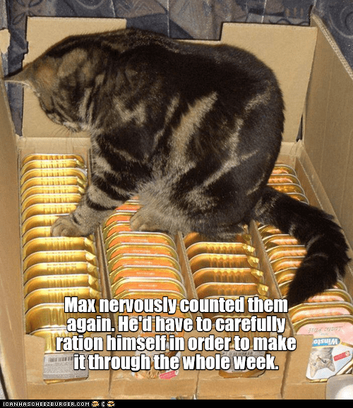 Caturday meme of a cat rationing tuna for the week