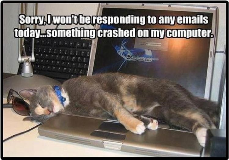 Caturday meme pin about a cat falling asleep on a keyboard