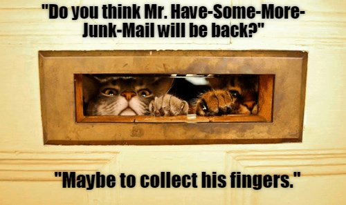 Caturday meme of cats waiting for the mailman