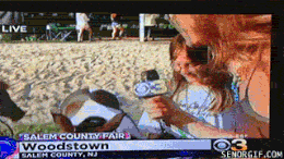 Moving Image Mayhem Animal Edition