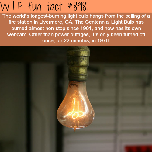 21 Fun Facts to Make You Feel Smarter