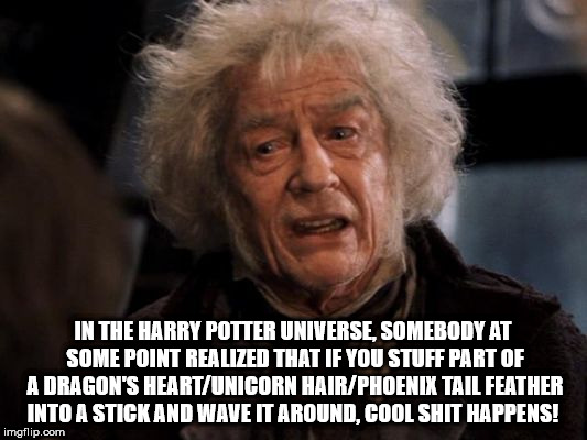 great things terrible but great - In The Harry Potter Universe, Somebody At Some Point Realized That If You Stuff Part Of A Dragon'S HeartUnicorn HairPhoenix Tail Feather Into A Stick And Wave It Around, Cool Shit Happens! imgflip.com